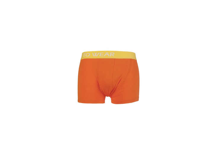 DTW Boxershort