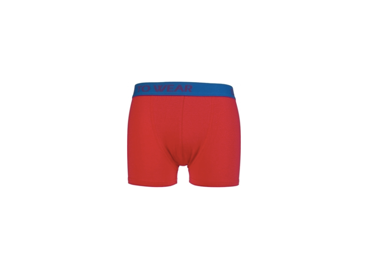 DTW Boxershort